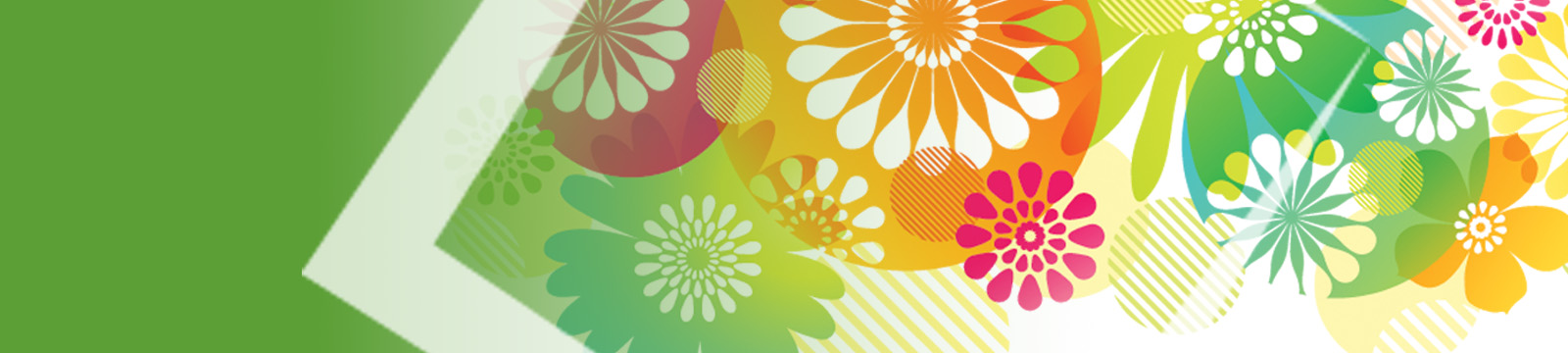 Spring CD Special Banner Image| Team One Credit Union